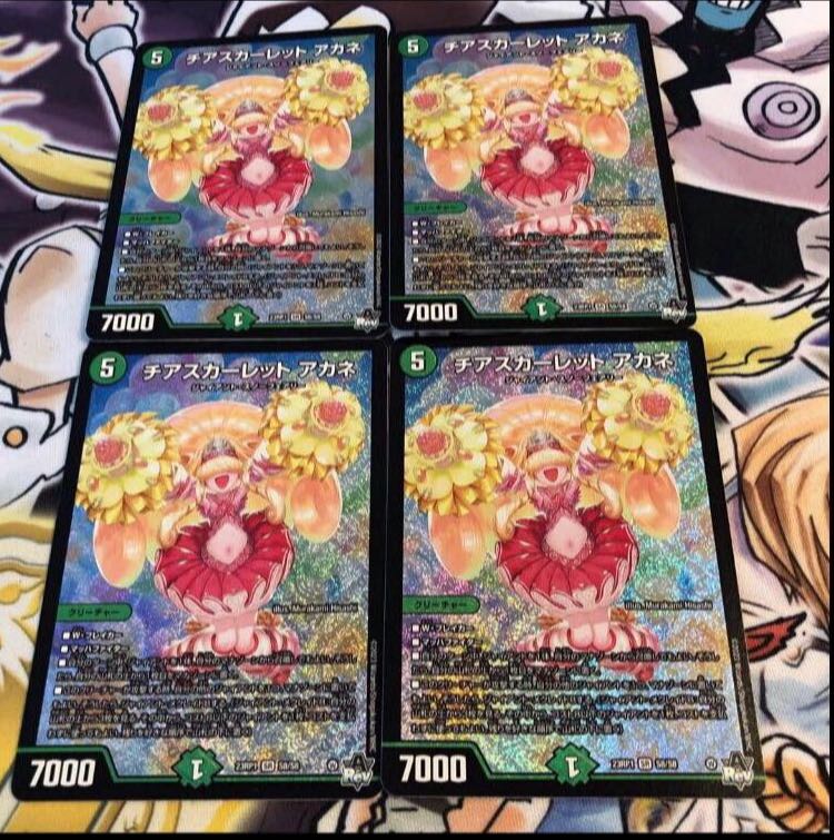 Cheer Scarlet Whitney SR S8/S8