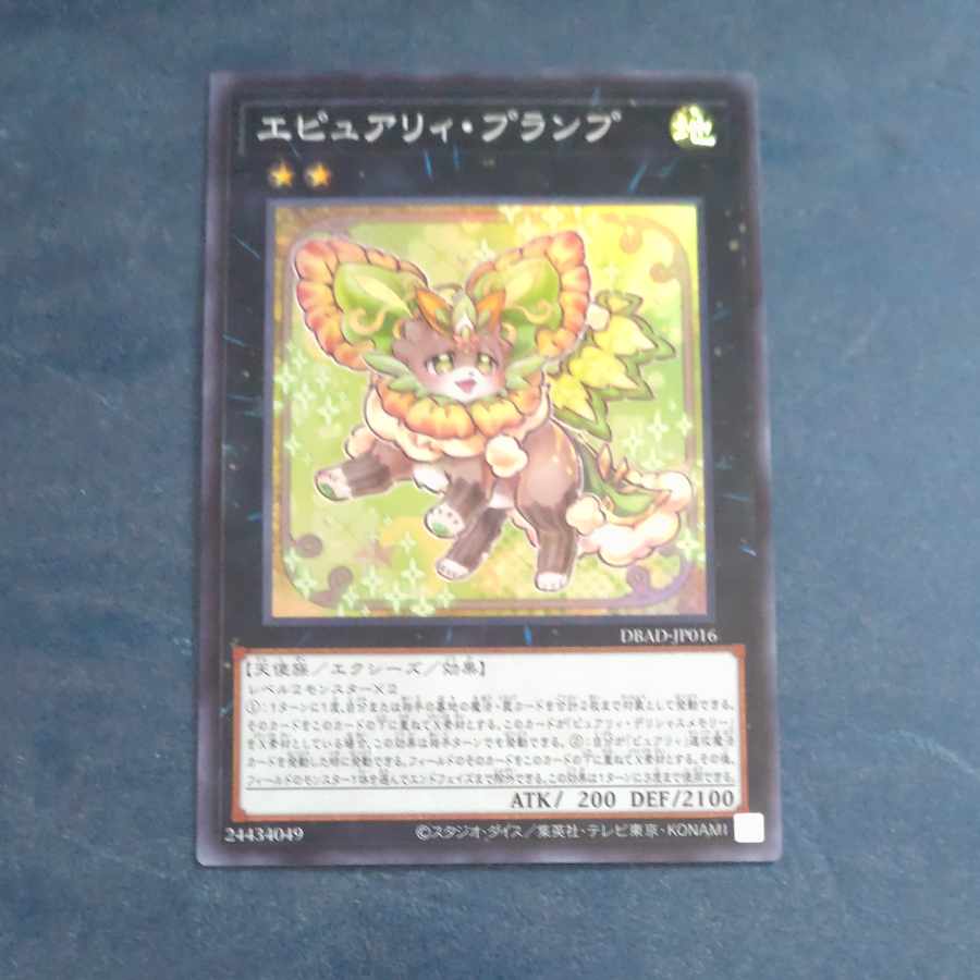 Epurely Plump Super Rare JP016 [Korindo