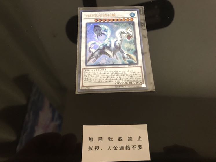 白闘気双頭神龍 いいね不要