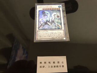 白闘気双頭神龍 いいね不要