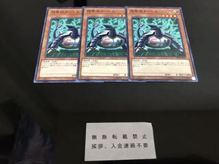 超電磁タートル ノーマル ３枚 セット