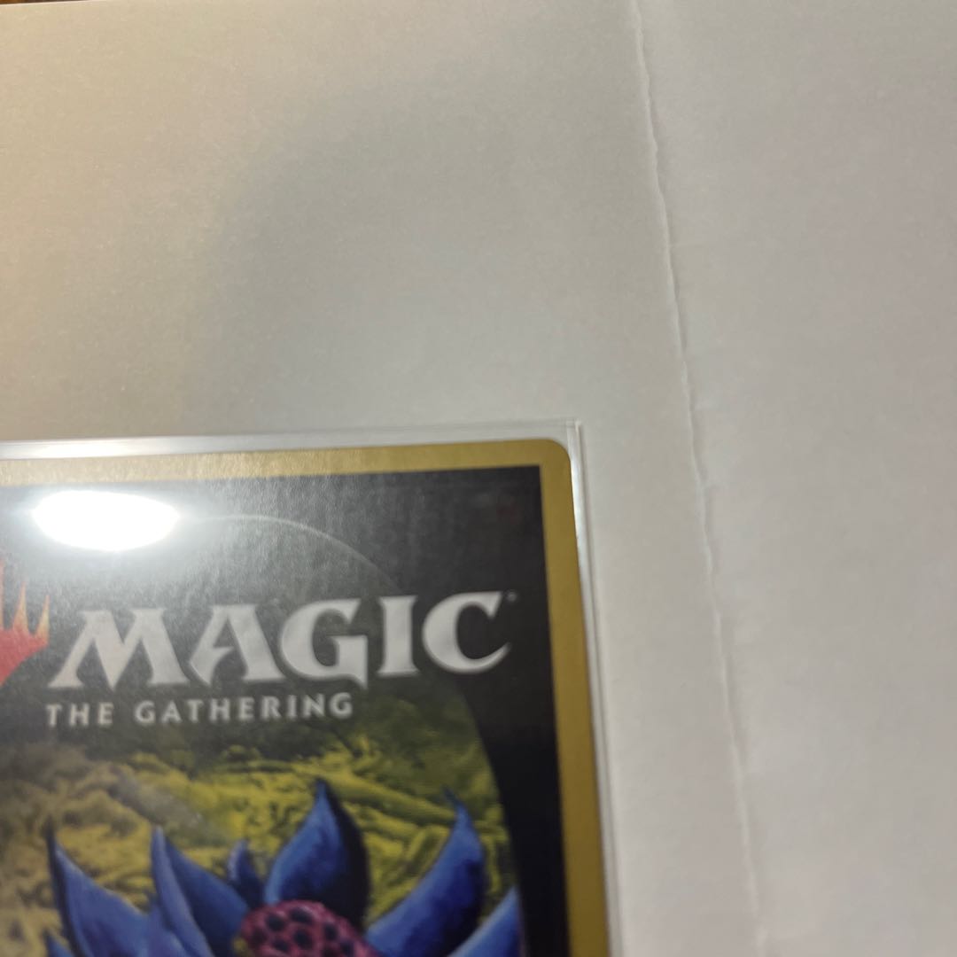 Black Lotus 30th Anniversary Edition (Used) （1393321500