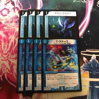 Tアナーゴ　マリンフラワー　各4枚セット