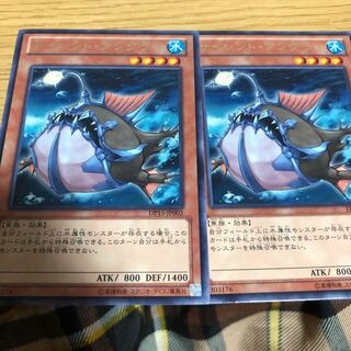 サイレントアングラー　2枚