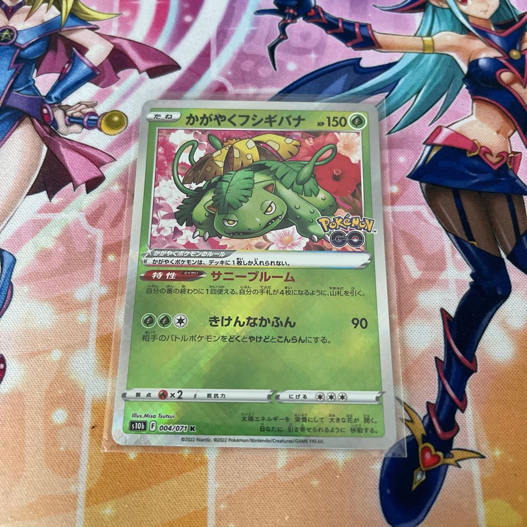 No.187 P shop Kagayaku Venusaur [K] {004/071} [S10b