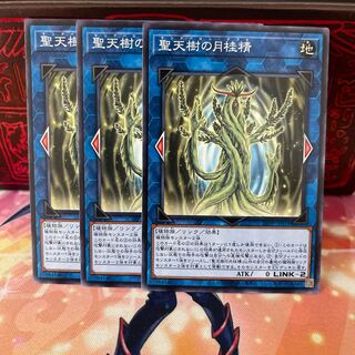 No.1891 P屋　聖天樹の月桂精 【ノー】