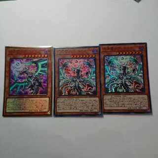 混源龍レヴィオニア