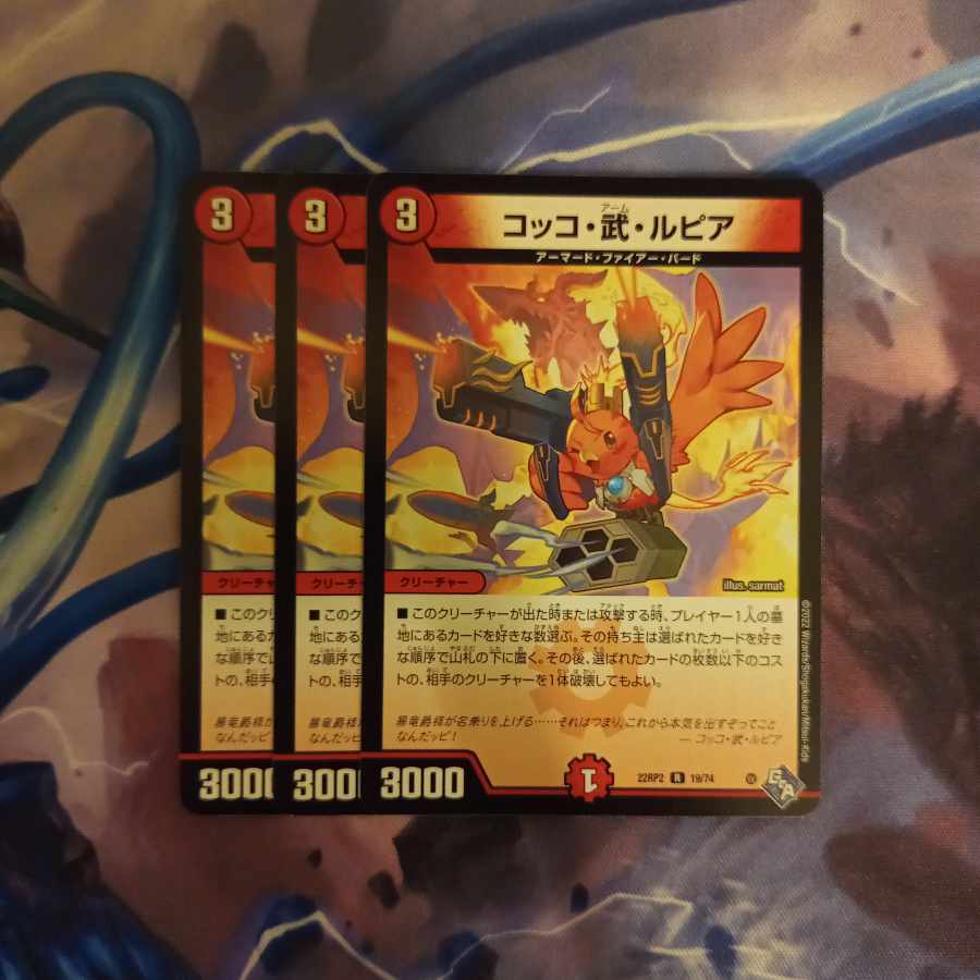 Cocco Bu Lupia R 19/74