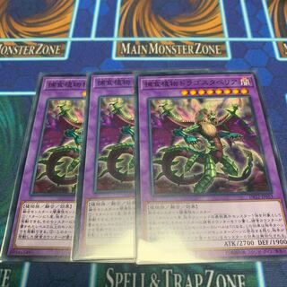 捕食植物ドラゴスタペリア