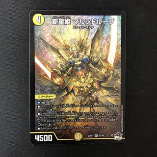 新星姫 マルシドループ SR S2/S8