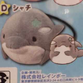 ゆるいるかぷちぬいぐるみ (シャチ)新品