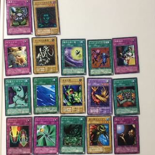 まとめ売り 1枚