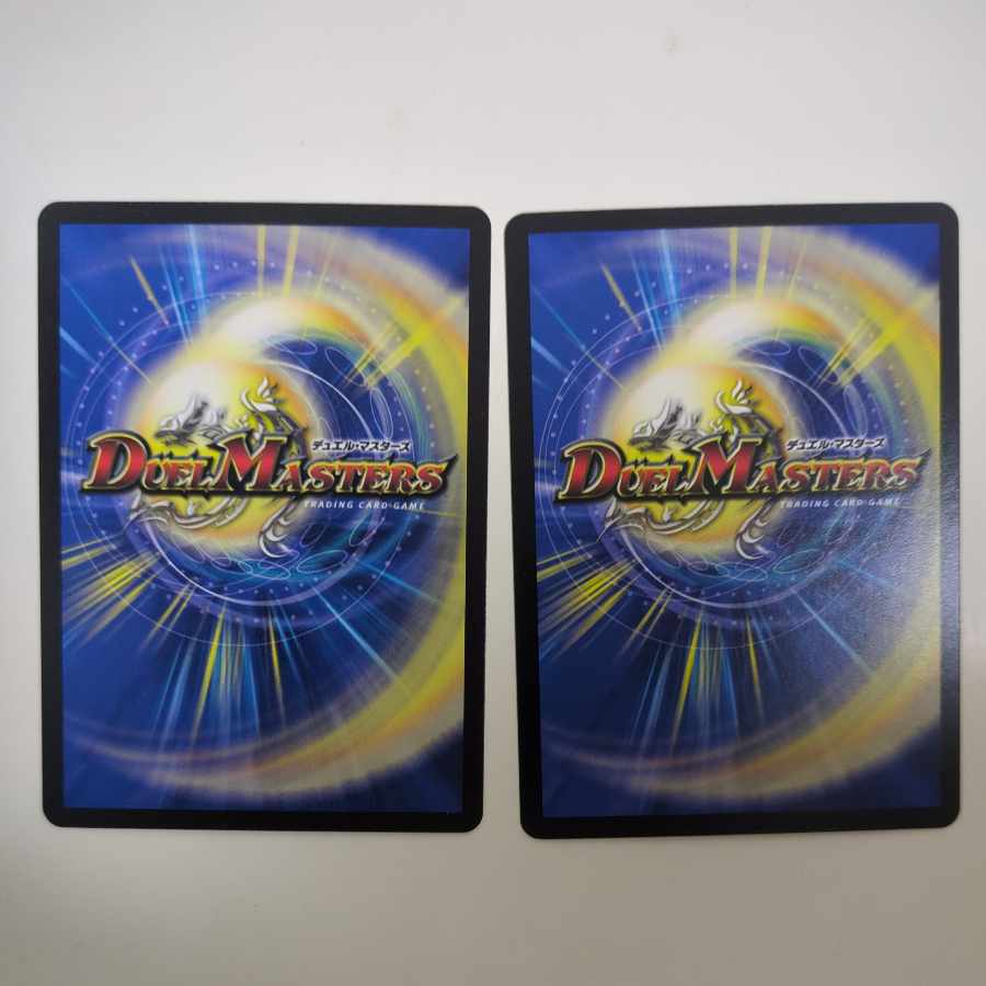 The Forceful Checkpoint Defense Terra U 33/95