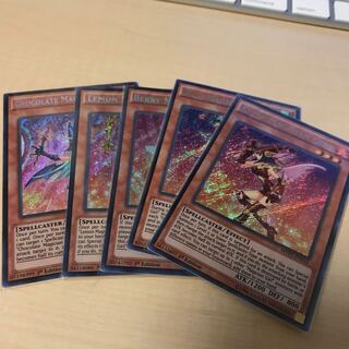 アップルマジシャンガール　 1枚