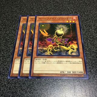 ローンファイア・ブロッサム【N】