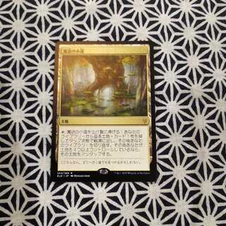 寓話の小道 日本語