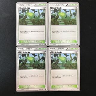 Forest of Giant Plants U 079/081