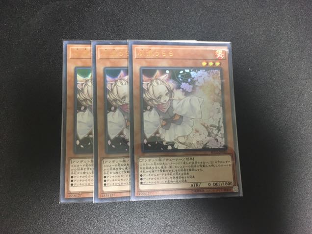 灰流うらら 3枚