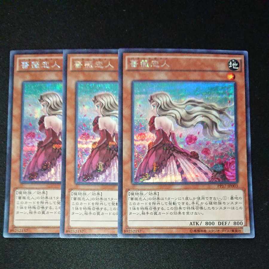 CST476 Rose Lover SE