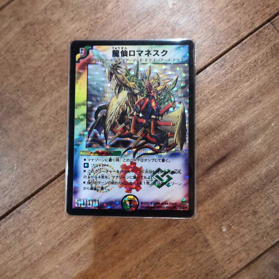 専用 龍仙ロマネスク