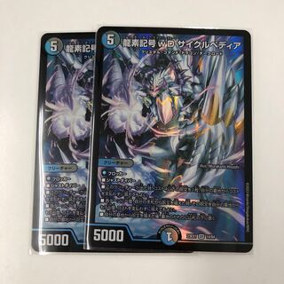 龍素記号wD サイクルペディア SR 18/130