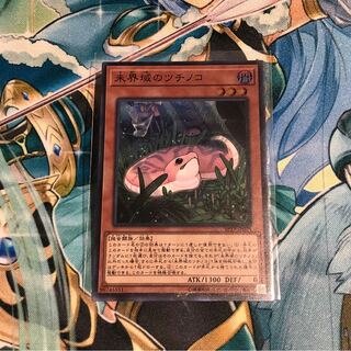 未界域のツチノコ