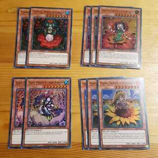 EU版 植物姫セット SECRET SLAYERS