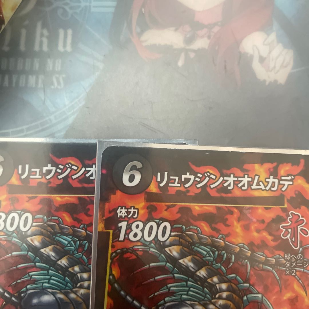 リュウジンオオムカデ　2枚セット