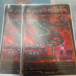 リュウジンオオムカデ　2枚セット