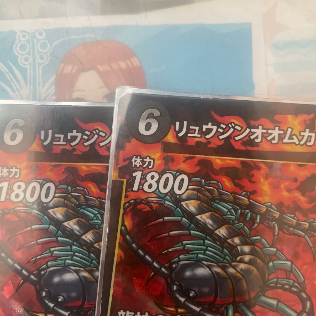 リュウジンオオムカデ　2枚セット