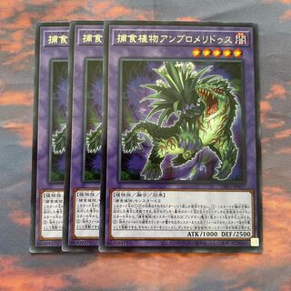 44    遊戯王　捕食植物アンブロメリドゥス　レア3枚