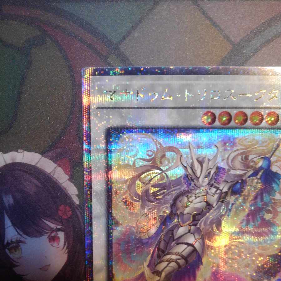 マナドゥム・トリロスークタ クォーターセンチュリーシークレット 25th