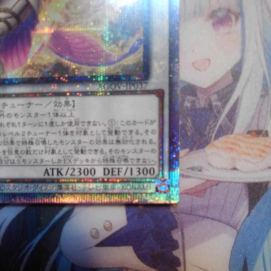 マナドゥム・トリロスークタ クォーターセンチュリーシークレット 25th