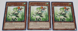 PRIO Pilica, Descendant of Gusto Normal 3 sheets Kazuna