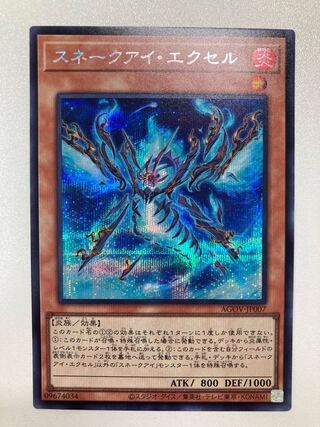 コンドウ様専用　スネークアイ・エクセル　シク　他