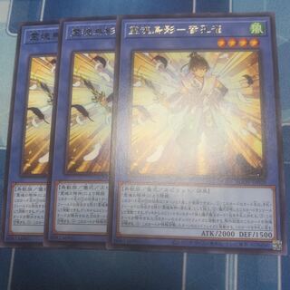 霊魂鳥影ー彦孔雀　レア