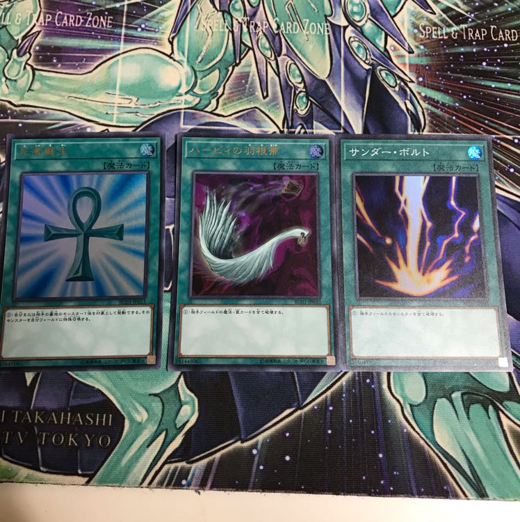 死者蘇生 ハーピィの羽根箒 サンダーボルト  セット