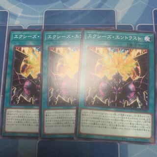 エクシーズ・エントラスト