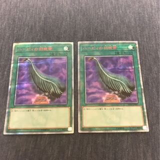 ハーピィの羽根箒　20th 1枚