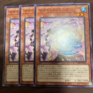 マナドゥム・ミーク