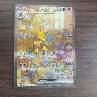 フーディンEX SAR