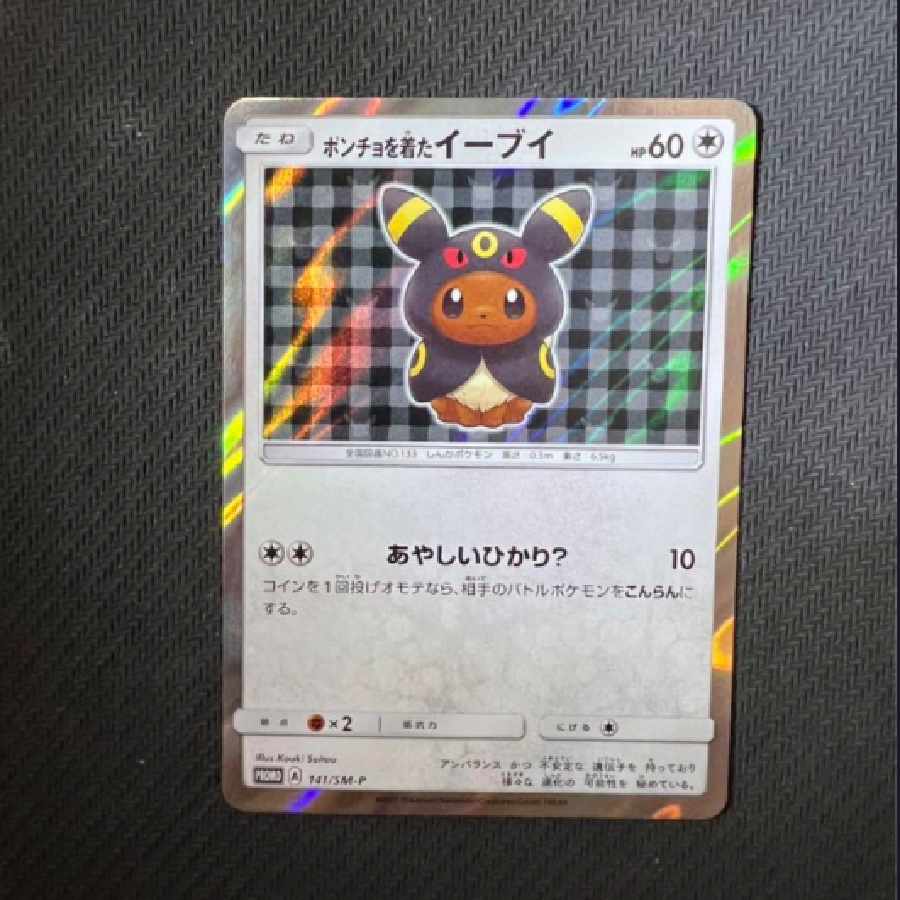 ポンチョを着たイーブイ　ブラッキー