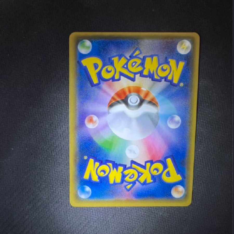 ポンチョを着たイーブイ　ブラッキー