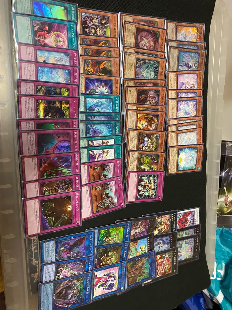 蠱惑魔六花デッキ