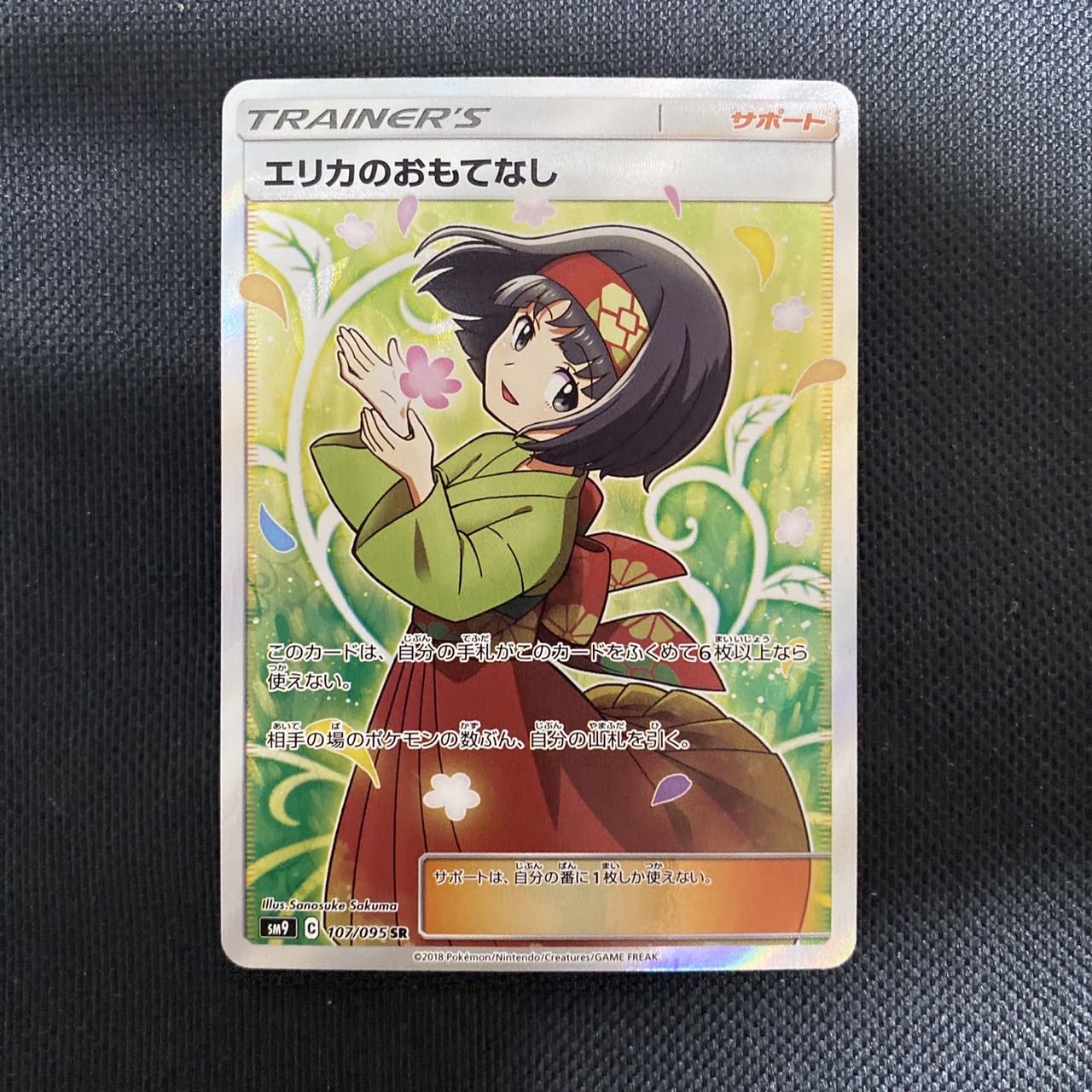 Erika's Hospitality SR 107/095