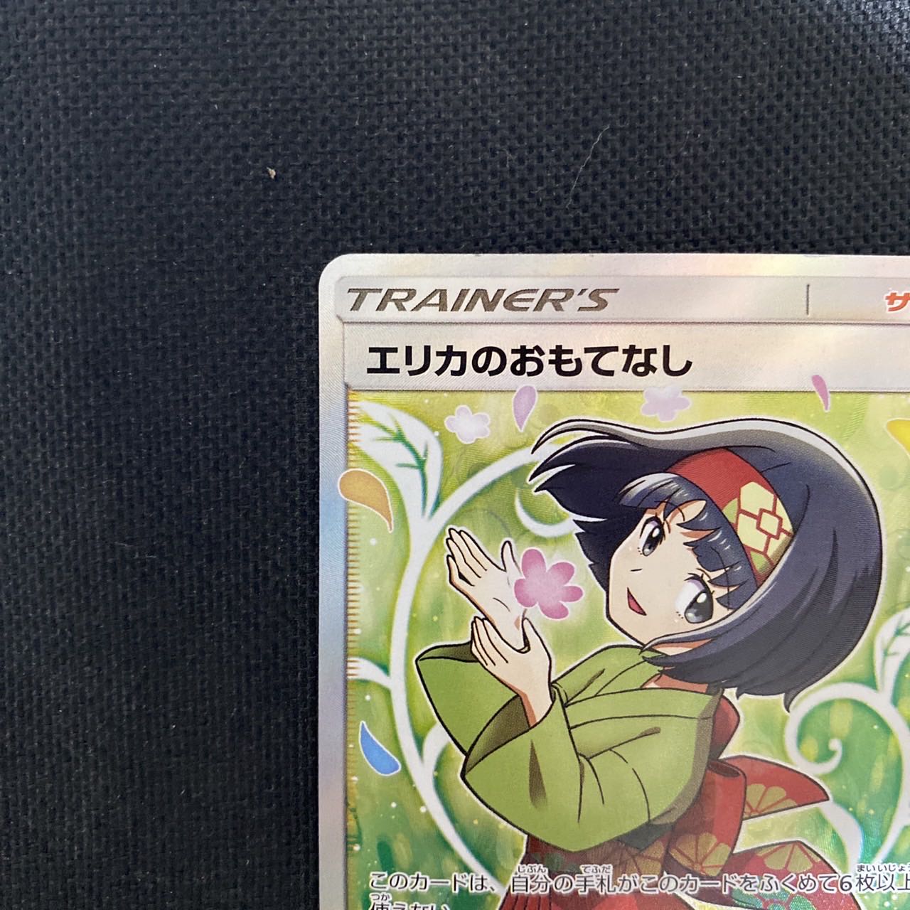 Erika's Hospitality SR 107/095