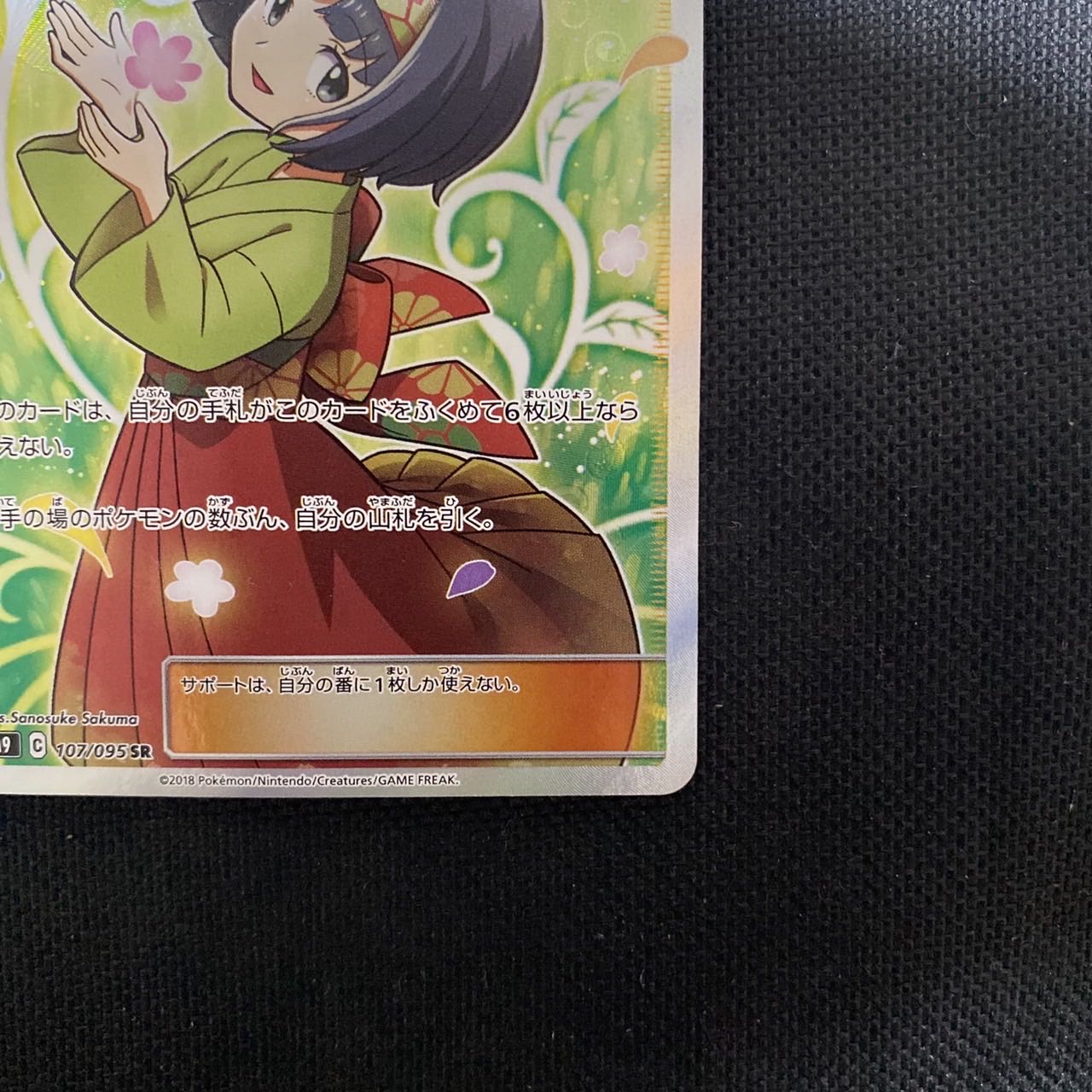 Erika's Hospitality SR 107/095