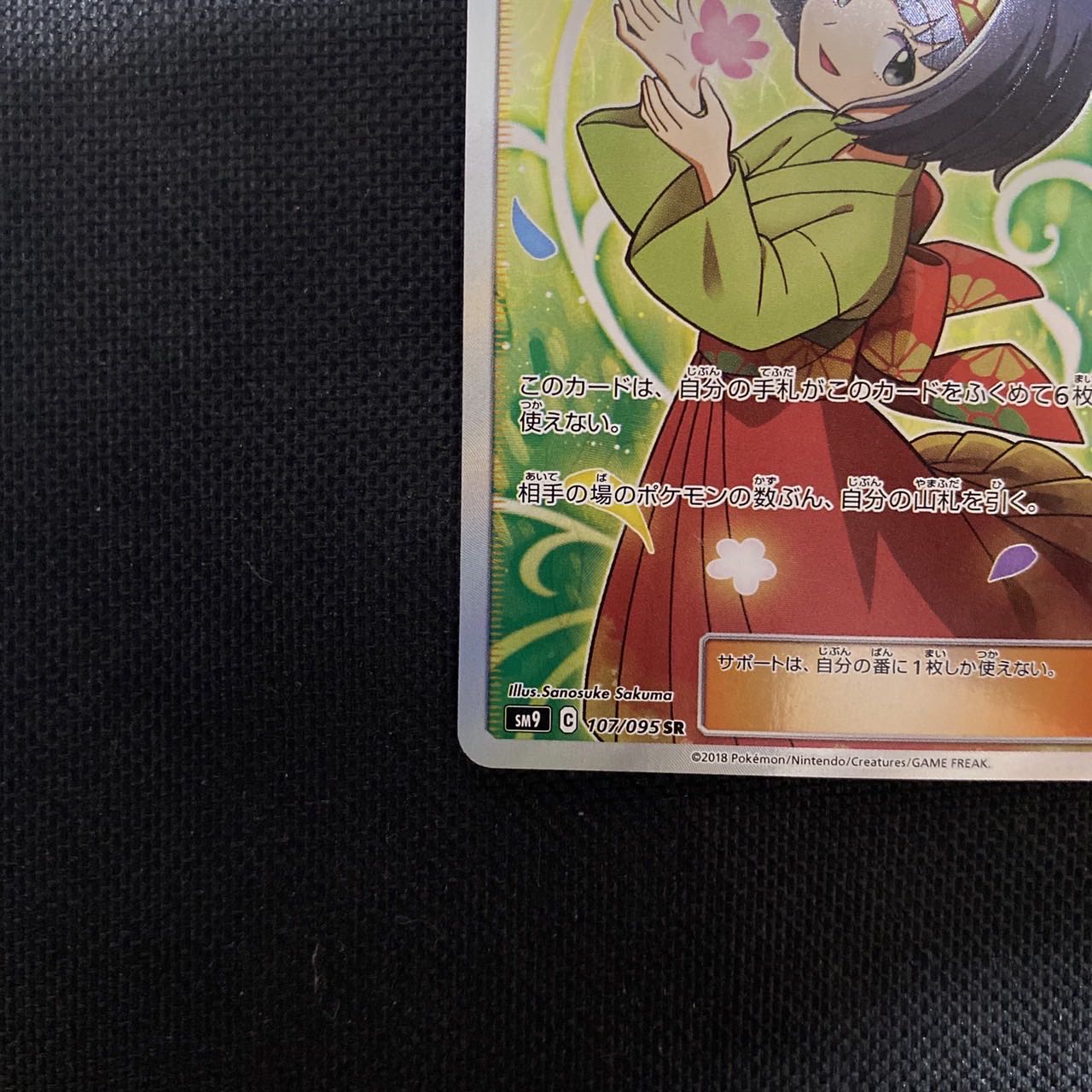 Erika's Hospitality SR 107/095