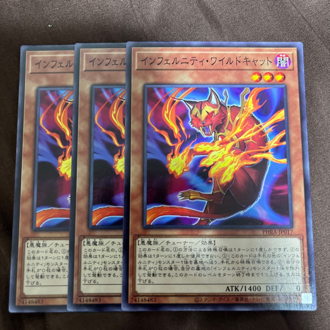 インフェルニティ・ワイルドキャット ノーマル