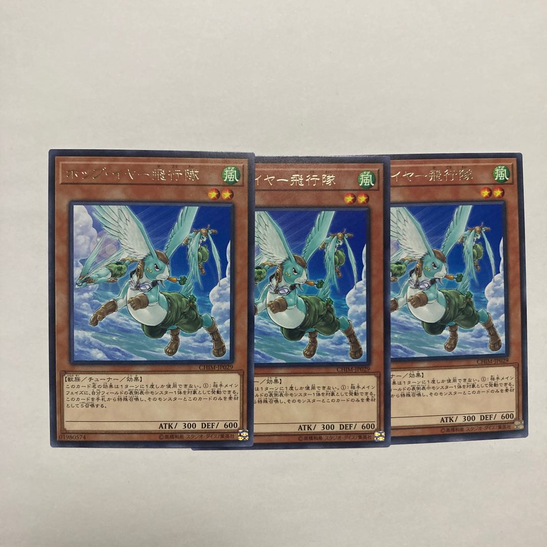 ホップ・イヤー飛行隊 レア JP029